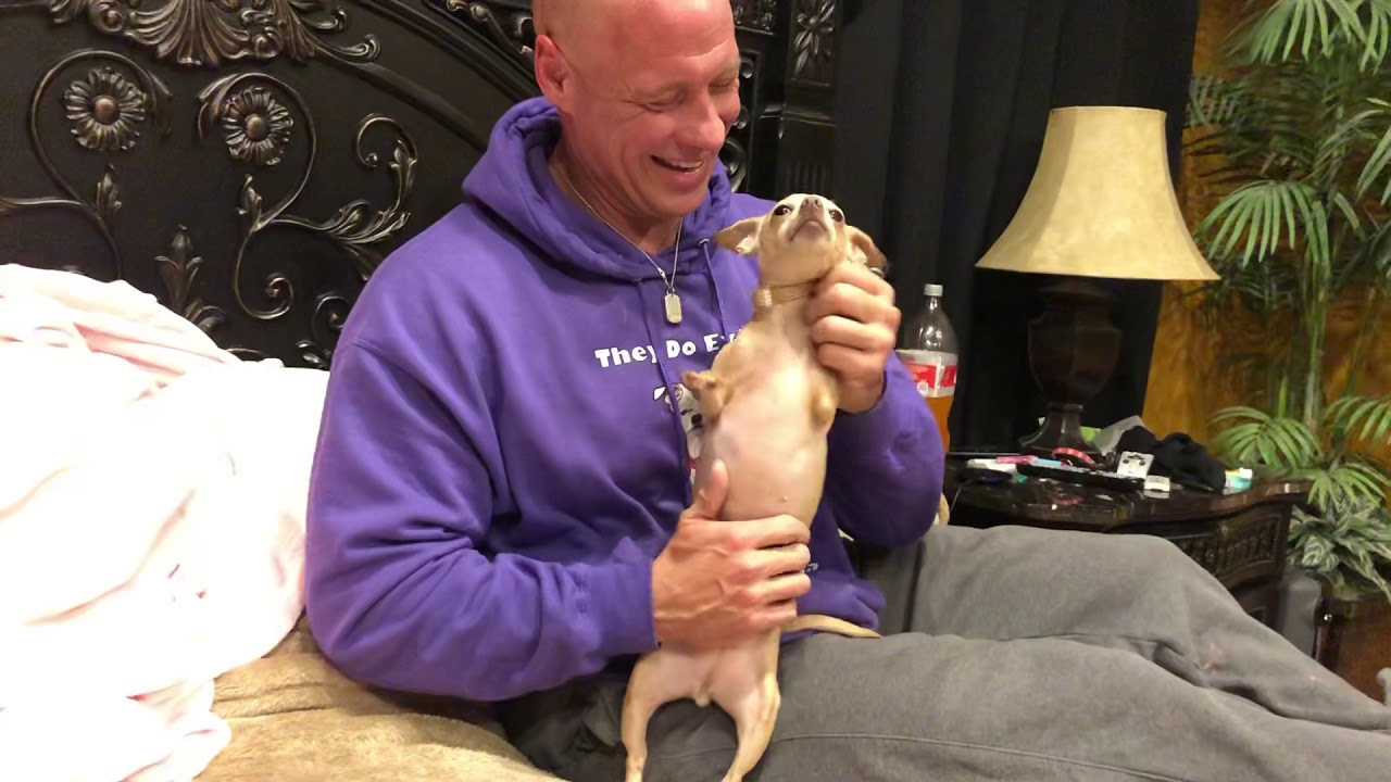 Знакомьтесь, Наггет!!!