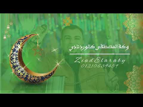 حالات واتس احمد عادل كروان الصعيد قمرنا سيدنا النبي قمرنا مهرجانات 2023