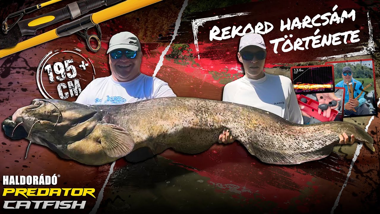 Takács Péter - Rekord harcsám története