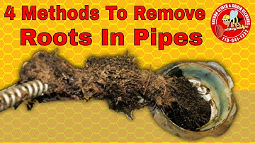 Four Ways For Removing Roots Inside Pipe: A Drain Cure Guide