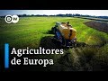 Agricultores: ¿Puede hacerse crecer el dinero? | DW Documental