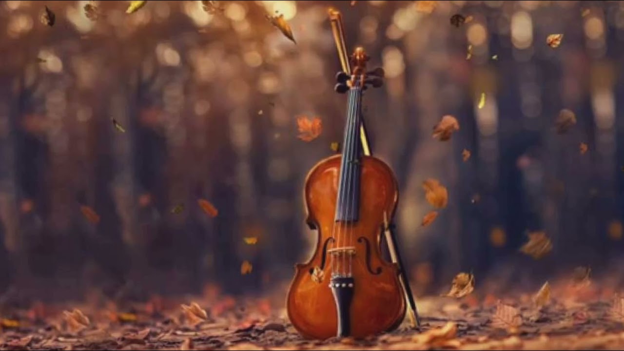 Thankathinkal violin cover
