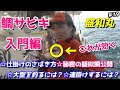 【鯛ラバ】より釣れちゃう？！100均で手に入る赤色の○○が凄い！！【鯛サビキ】【明石】【鯛釣り】