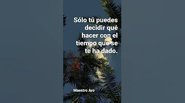 Solo Tú Puedes | Maestro Aro