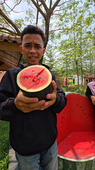 This is a watermelon #trendingshorts