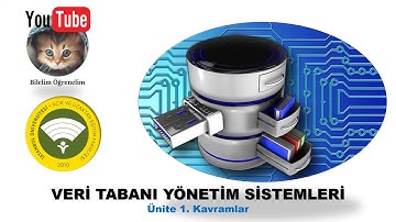 AUZEF, Veri Tabanı Yönetim Sistemleri, Ünite 1, Temel Kavramlar
