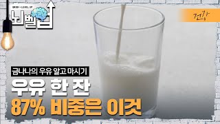 우리가 몰랐던 우유의 진실, 어떤 우유를 드시고 있나요? 우유의 87%는 이것으로 구성되어 나머지 13%는 그 외 영양성분│ 클래스e │ 뇌벨업