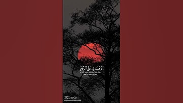 ربنا انك تعلم ما نخفى وما نعلن #القرآن_الكريم #اكسبلور #المصحف #قرآن #تلاوة #دويتو #راحة_نفسية #qura