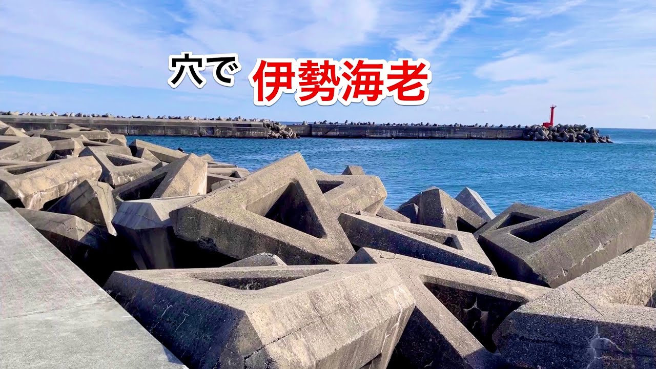 Spiny lobster on the tetrapods in winter] The best bait was