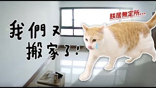 【黃阿瑪的後宮生活】我們又搬家了!