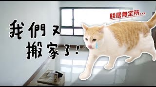 【黃阿瑪的後宮生活】我們又搬家了