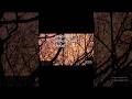 X293⭕Красивый апрельский закат:#красиво #закат #весна #апрель