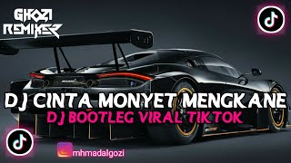 DJ CINTA MONYET MENGKANE || BOOTLEG VIRAL TIKTOK 2023!! 🎧