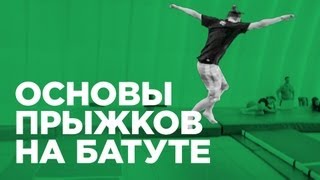 Прыжки на батуте (How to Trampolining) Прыжки на батуте (How to Trampolining)