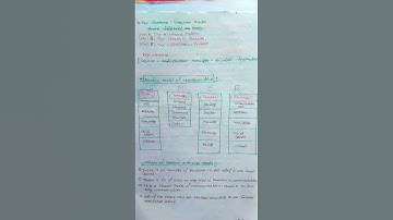 Model of Communication