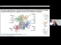 Structural Characterization Of Conserved Neutralizing Epitopes On The SARS CoV 2 Spike Glycoprotein 
