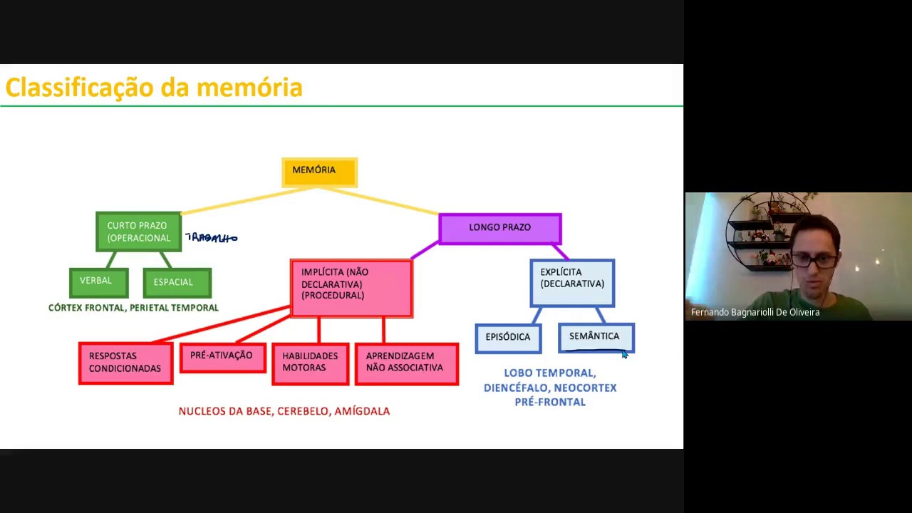 Formação da Memória