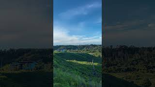 Tempat ini berada di pedalaman kalimantan!! #exploreindonesia #naturelovers #dailyvlog #josetiawan