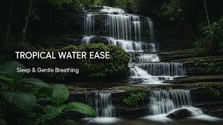 Tranquil Forest Ambience with Gentle River Flow for Sleep Study Meditation and Inner Peace