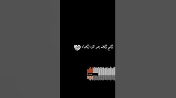 سورة النزعات |القارئ رعد محمد الكردي 🤍