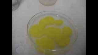 jdS – KI + Pb(NO3)2