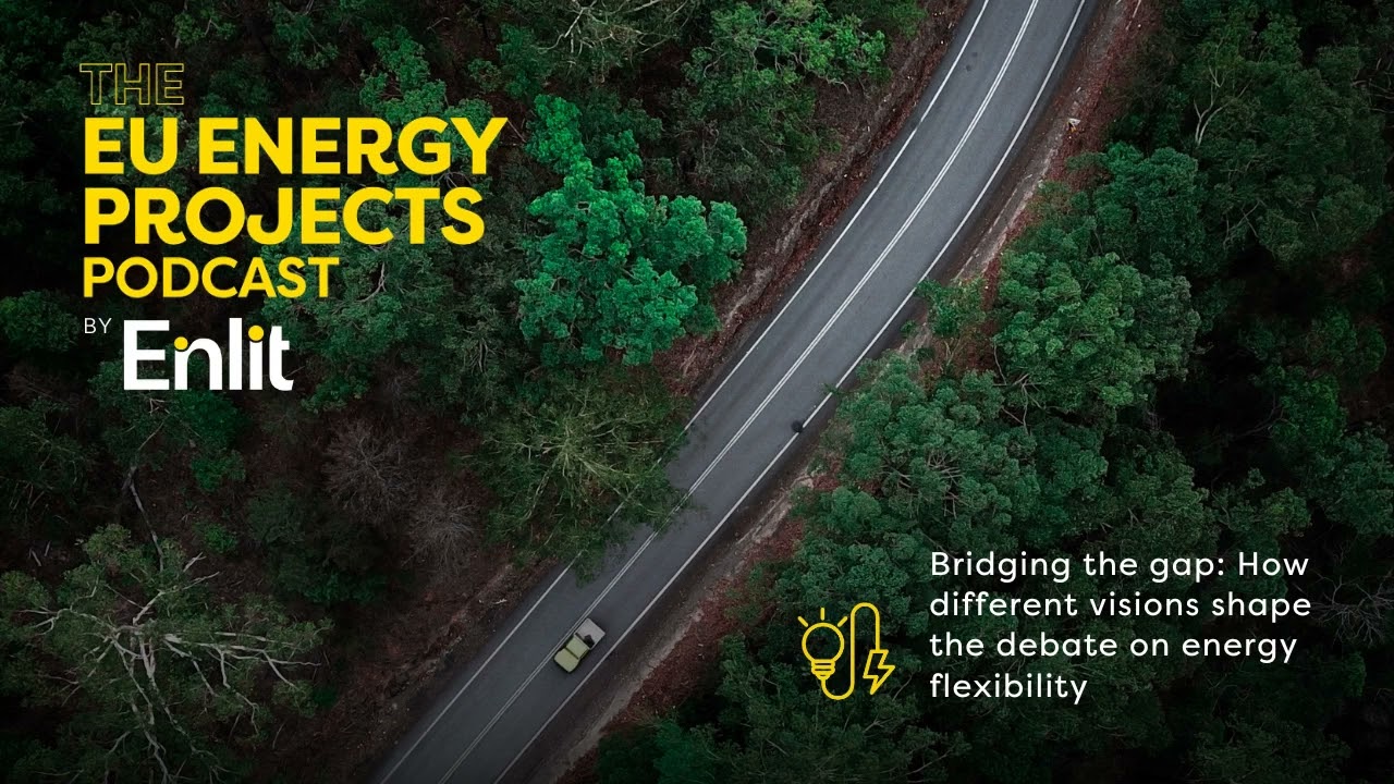 EU Energy Projects podcast: How different visions shape the debate on energy flexibility