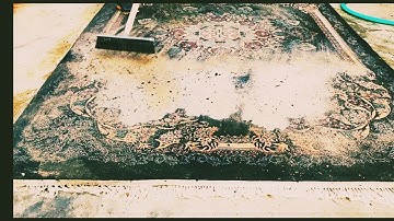 Sewer overflow - lncredible dirty carpet cleaning satisfying ASMR