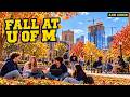 Ann Arbor, Michigan 🍂 | A Fall Walk Through the University of Michigan Campus