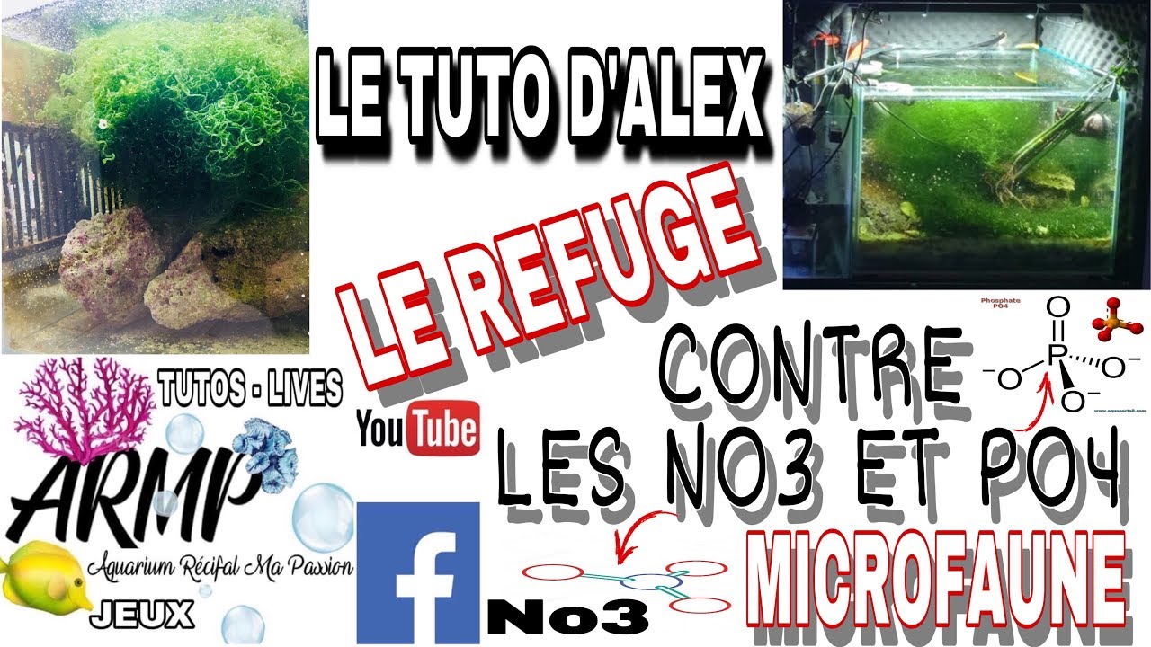 REFUGE AQUARIUM: ANTI NO3 ET PO4 ET MAINTIENT LA MICROFAUNE