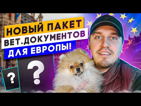 Новые Правила Ввоза Животных в Евросоюз 2023! Перевозка животных / Международный Вет Паспорт Украина