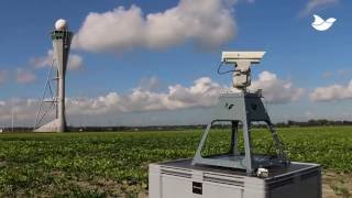 Autonomic at a grain field around Amsterdam Schiphol Airport