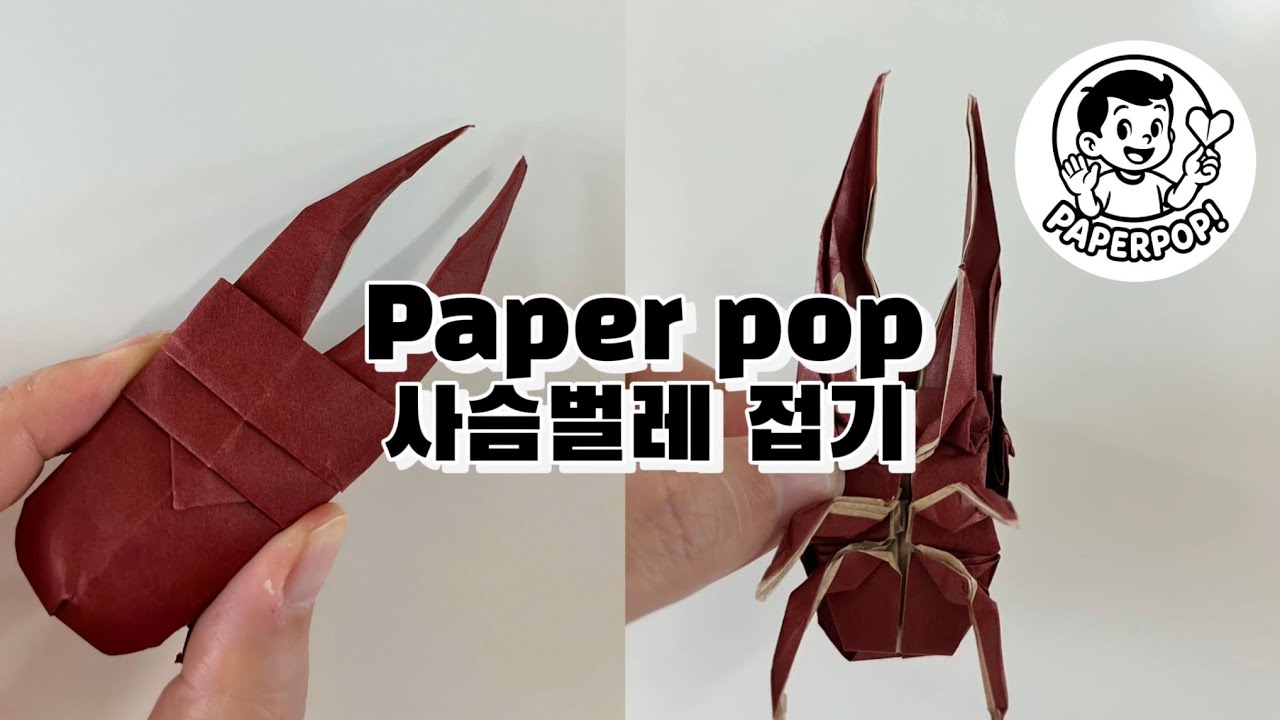 사슴벌레 곤충 종이접기[페이퍼팝!]