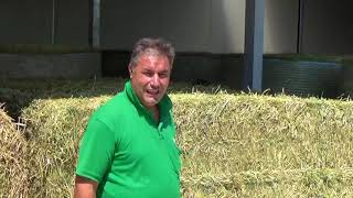 Perché Investire Nell A Balloni Di Erba Medica ? Testimonianza Az. Anselmi