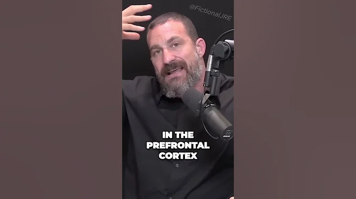 Neuroscientist : How Alcohol Affects the Brain / Andrew Huberman #shorts #andrewhuberman #joerogan