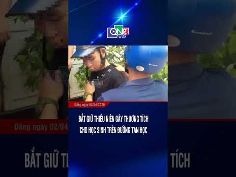 Bắt giữ thiếu niên gây thương tích cho học sinh trên đường tan học | QNgTV