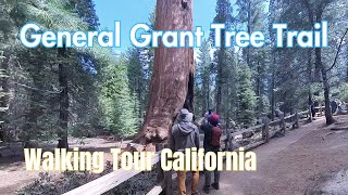 🌲 Kings Canyon National Park - General Grant Tree Trail - A Waking Tour