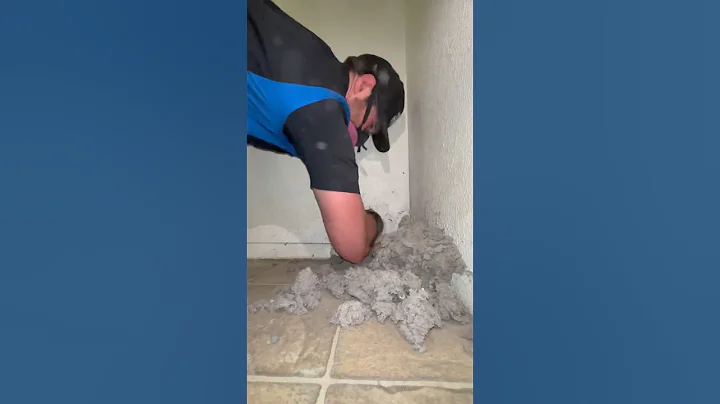 This dryer vent wasn’t cleaned for 19 years. #oddlysatisfying #dryerventcleaning #vacuumtherapy