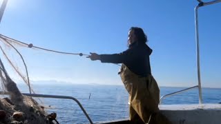 Pesca y Fideuá de sepia en Mallorca