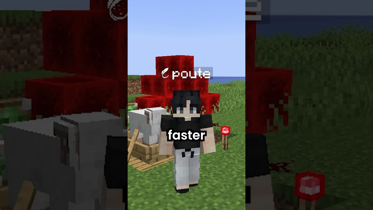 Minecraft Speed Glitch? 🤯