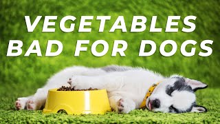Which Vegetables are BAD for Dogs to eat? by Deer Lodge Wildlife & Nature Channel 36 views 8 months ago 1 minute, 59 seconds