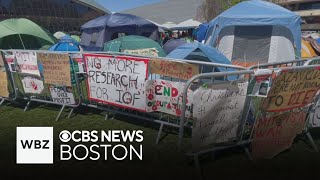 MIT begins suspending protesters on campus