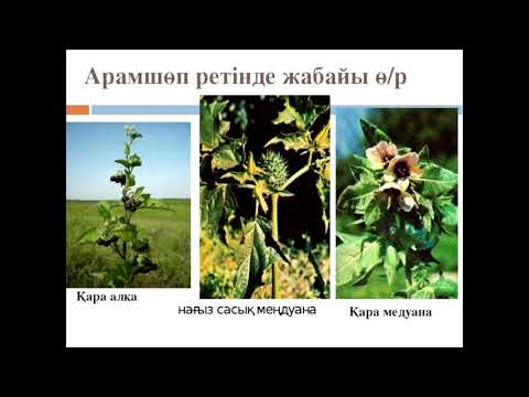 Бейне: Мен арамшөптердің түйірлерін сатуым керек пе?