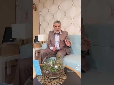 د عدنان الشطي القلق     