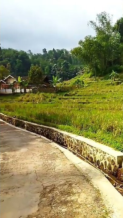 suasana sore di kampung dengan pemandangan yang indah. bantu subscribe, agar kami bisa terus upload