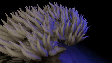 Blender Coral Practice
