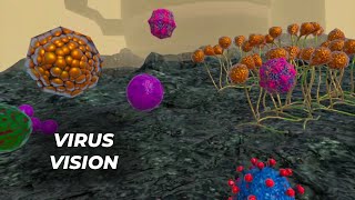 FreeRangeXR - Virus Vision VR Immersive Learning Module