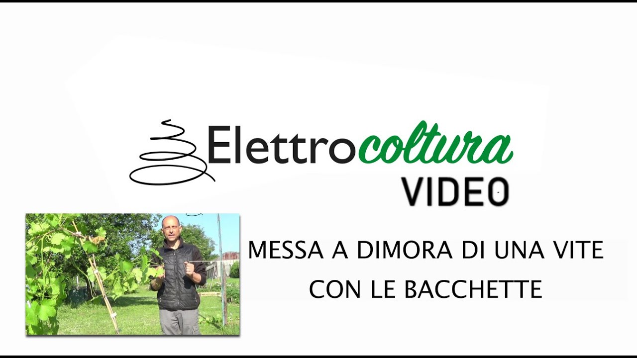 20 M Filo Di Rame Puro 99,9% Per Elettrocoltura - Spessore 1,3 Mm (16 Gauge), Per Giardinaggio E Progetti Fai-da-Te