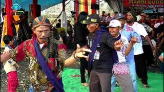 TAYUB TUBAN : LARANG UDAN