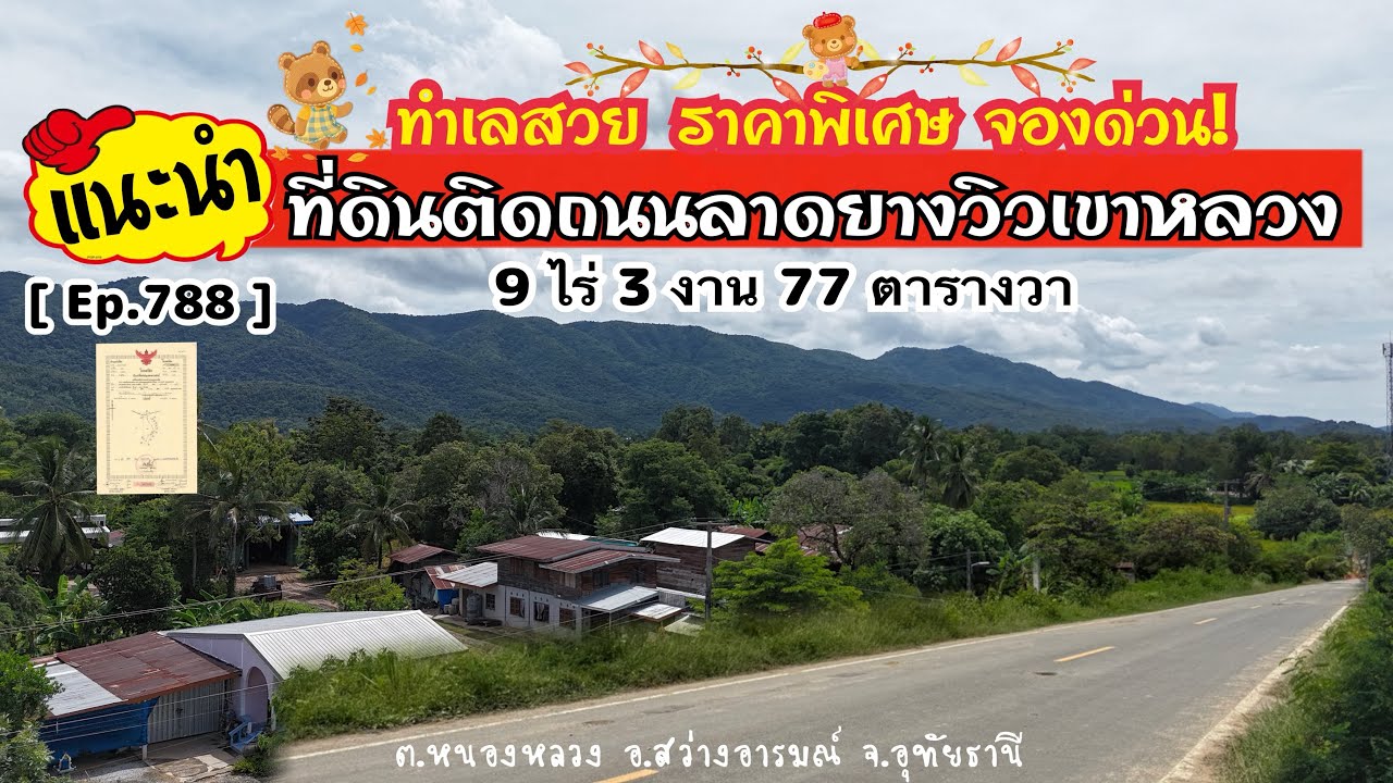 [ Ep.788 ] ขายที่ดิน 9 ไร่ 3 งาน 77 ตารางวา วิวเข้าหลวง ติดถนนลาดยาง 1,950,000 บาท อ.สว่างอารมณ์