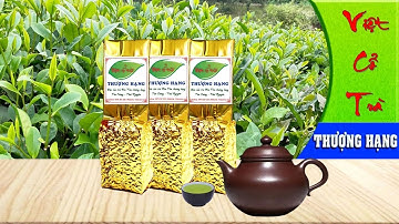 Việt Cổ Trà Thượng Hạng - Đặc Sản Trà Nõn Tôm Thượng Hạng Tân Cương, Thái Nguyên